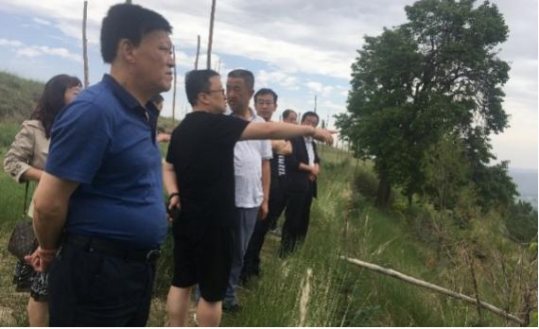 1631087879546029587.png 浪街1.png